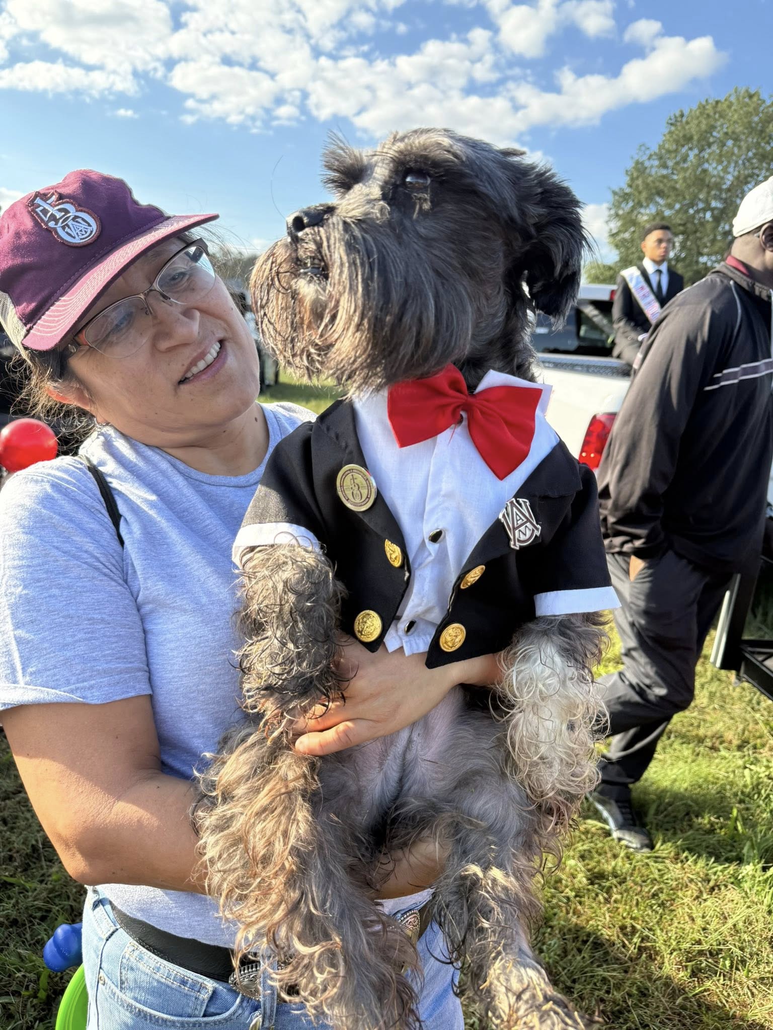 Dogs in suits