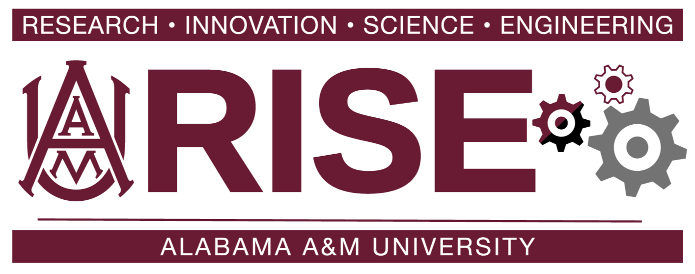 RISE logo